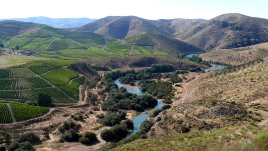 Vale do Côa